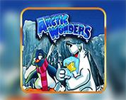 Arctic Wonders